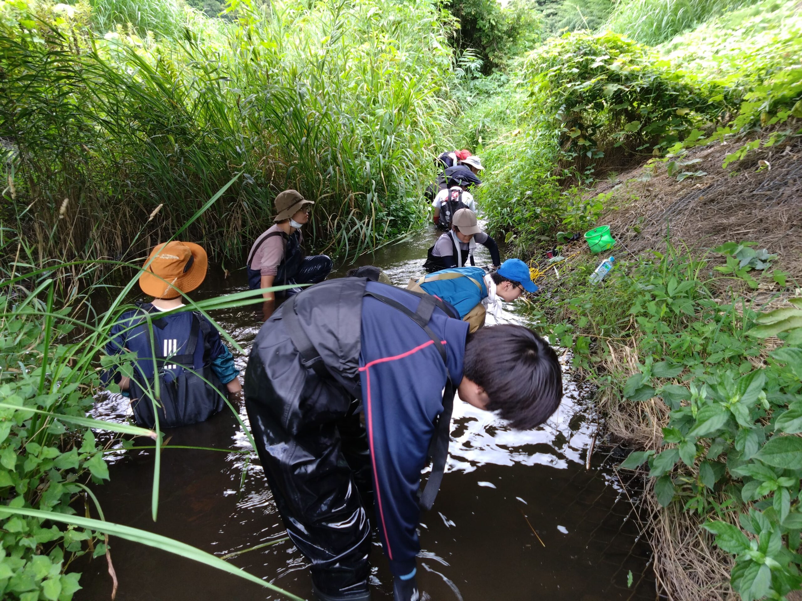 生物部 川底に生息する貝を捜索